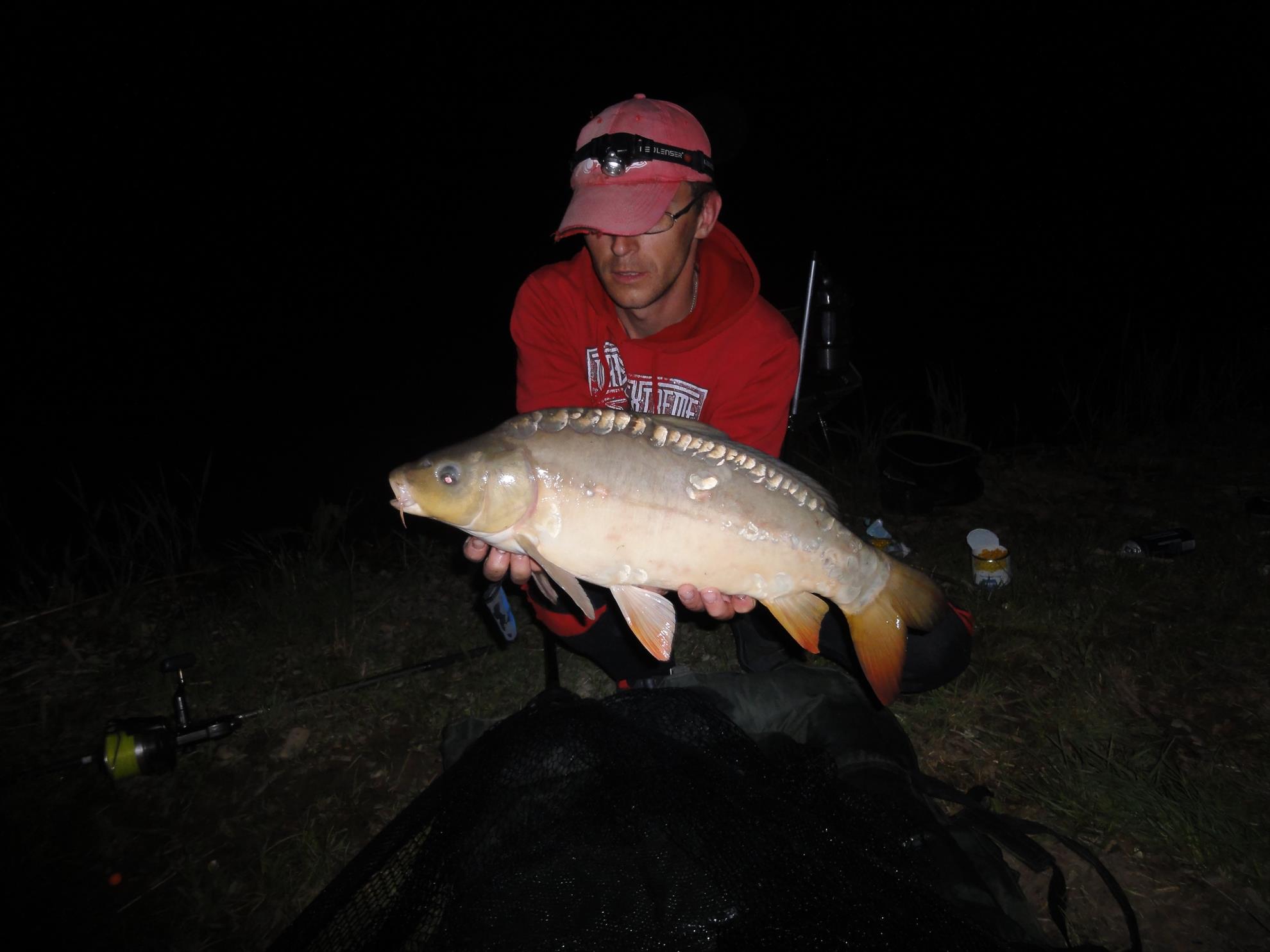 Adunate... - dsc02320.JPG